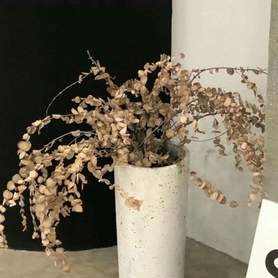 Furry插画灵感合集福瑞交流群